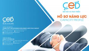 Ced profile v4